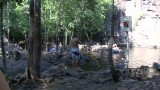 Florence Falls