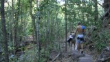 Monsoon walk