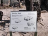 Lost City
