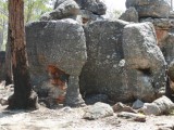 Olifanten bij Lost City