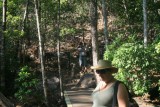 Florence Falls