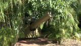 East Point Military Musuem