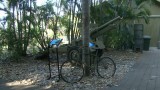 East Point Military Museum