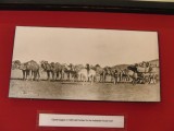 Met kamelen door de desert