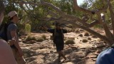 Tarrant verteld over Gumgoose tree