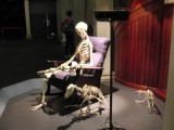 Skeletten in huiselijke kring