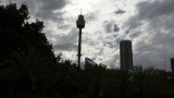 Sydney Tower in het midden