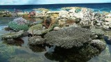 Aquarium Sydney