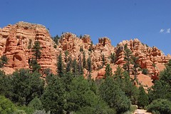 Bryce (14)