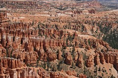 Bryce (25)