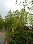 DSC06780