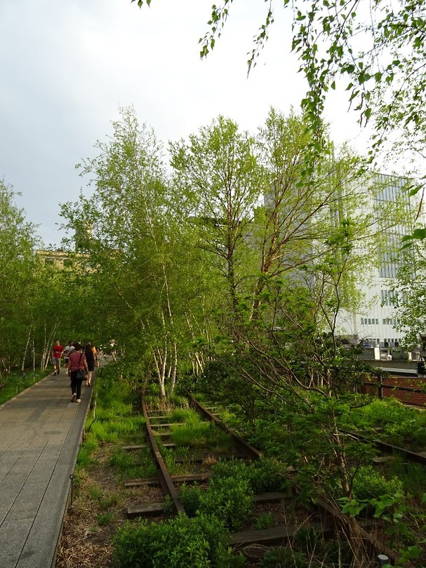 DSC06780