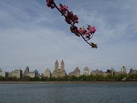 DSC06829