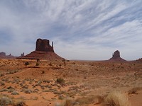 DSC07865