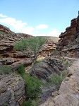 DSC08617