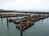 DSC00949