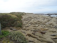 DSC00233
