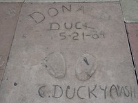 DSC09588