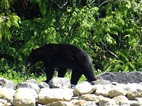 DSC09560