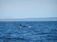 DSC09308