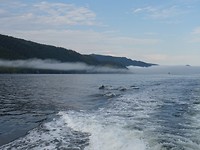 DSC00087