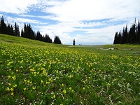 DSC01199