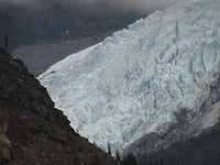 DSC03136