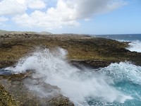 DSC08130