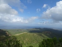 DSC08305