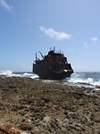 DSC07949