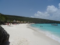 DSC08239