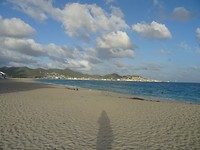 DSC08813