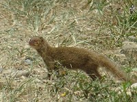 DSC09076
