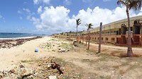 DSC09334