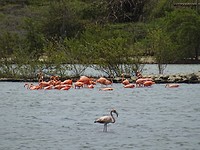 DSC09551