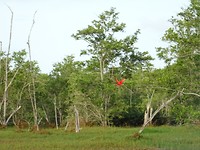 DSC00014