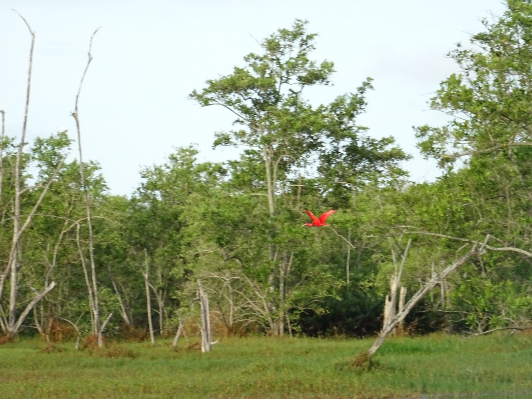 DSC00014
