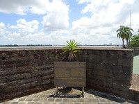 DSC00344