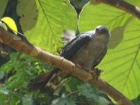 DSC00765