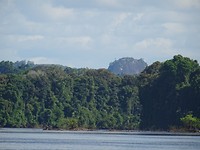 DSC00772