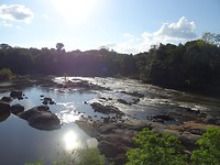 DSC00785