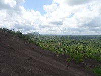DSC00824
