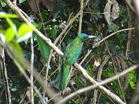 DSC00870