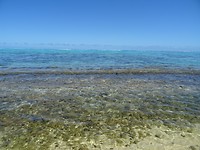 DSC08357