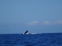 DSC08408