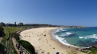 DSC04851