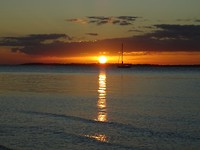 DSC07789