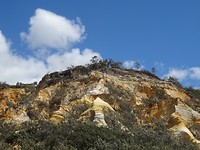 DSC07929