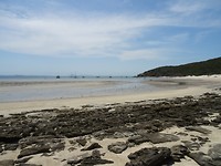 DSC08226