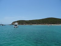 DSC08209